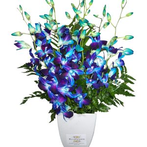 Blue Haven- Orchids Vase