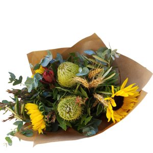 Banksia